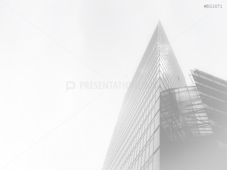 Company Profile