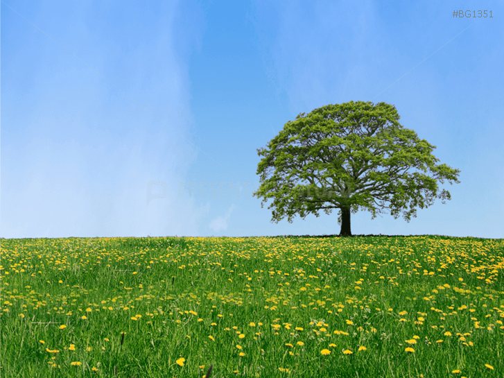 Green Business