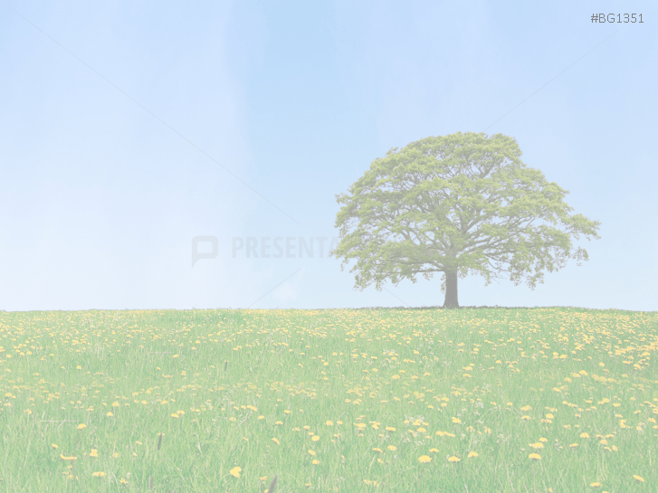 Green Business