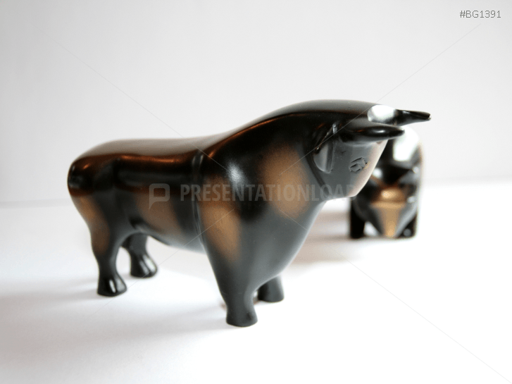 Stock Market