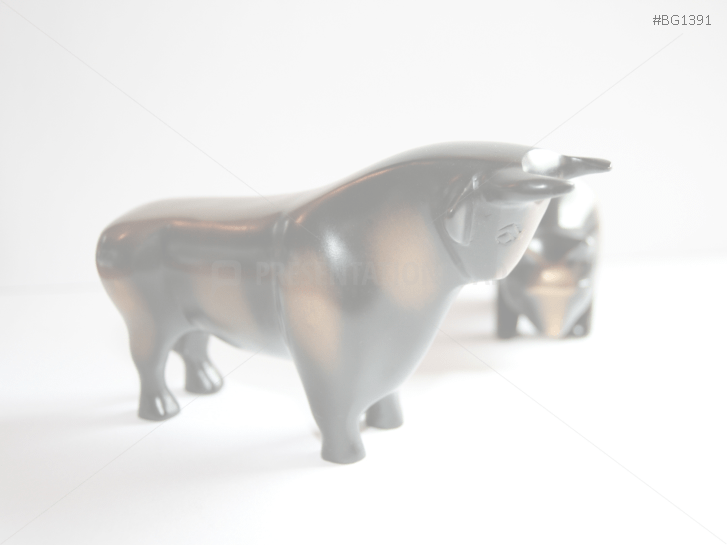 Stock Market