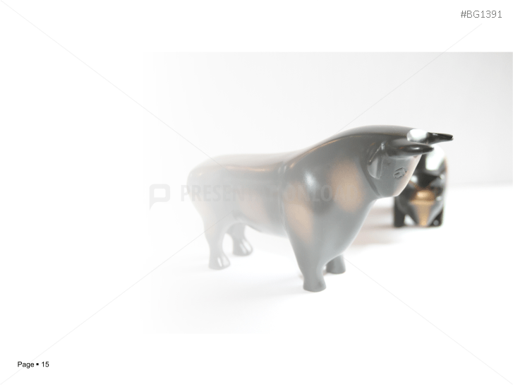 Stock Market