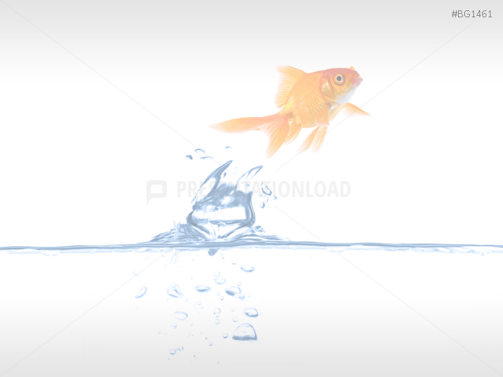Goldfish