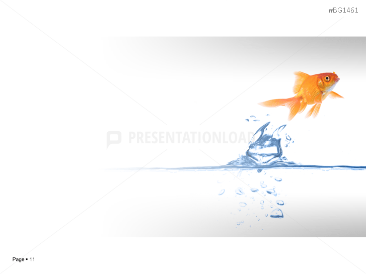 Goldfish