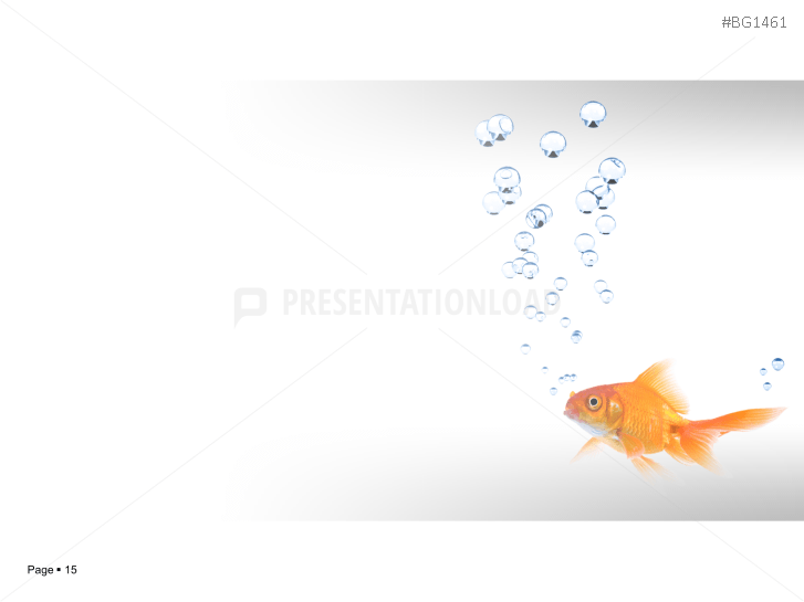 Goldfish