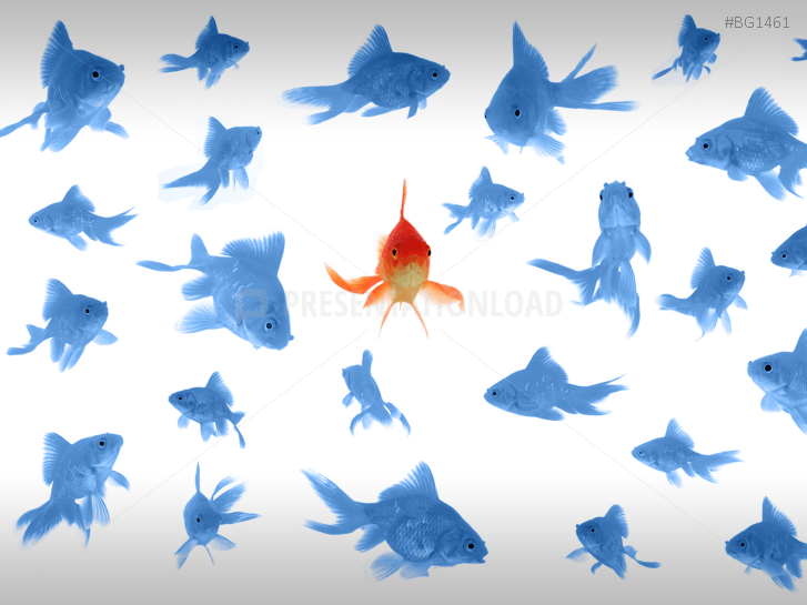 Goldfish