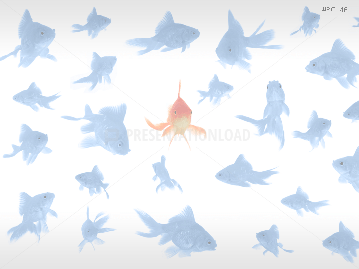 Goldfish