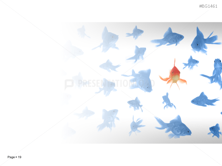 Goldfish