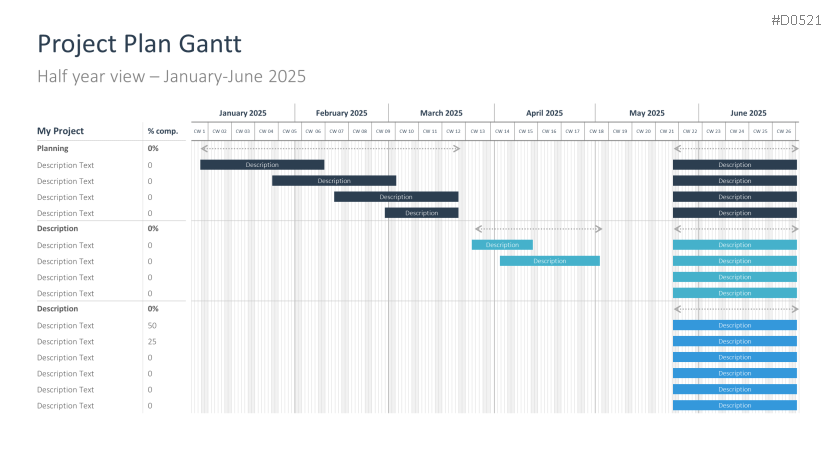 Project Timelines 2025