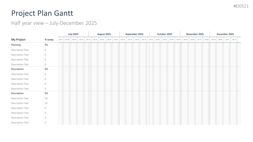 Project Timelines 2025