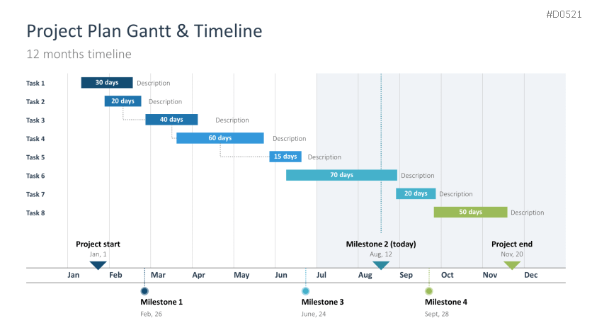 Project Timelines 2025