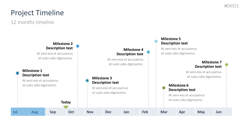 Project Timelines 2025