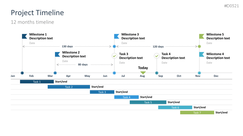 Project Timelines 2025