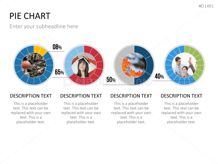Pie Chart Toolbox