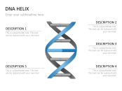 double helix dna