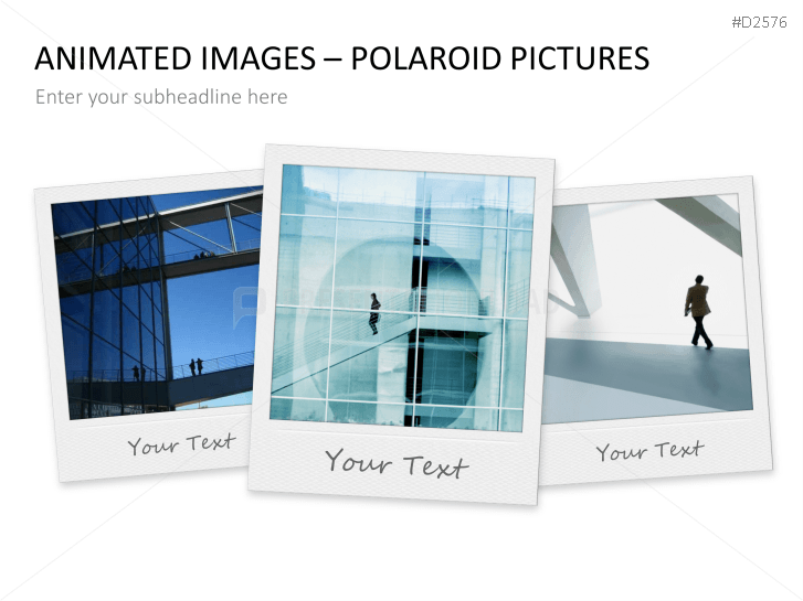 Animated Polaroid Pictures