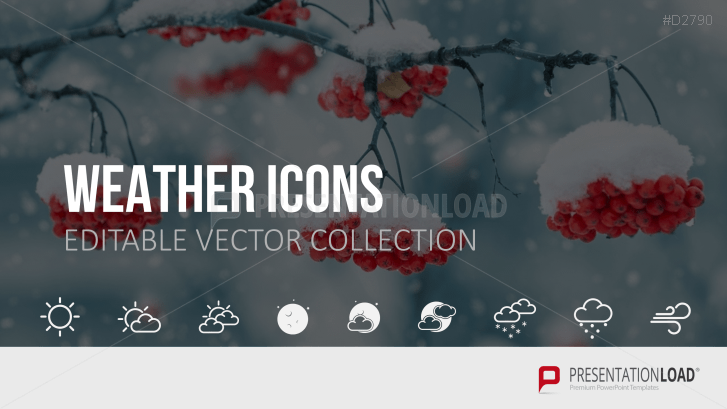 Icons Collection