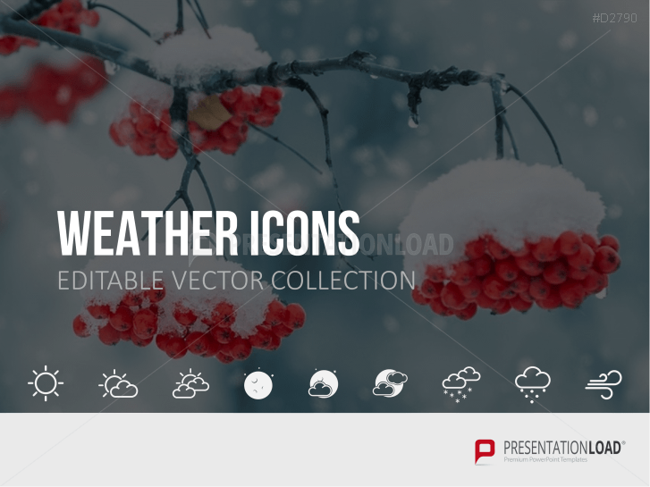 Icons Collection