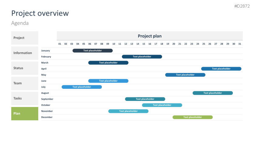 Project Status Report