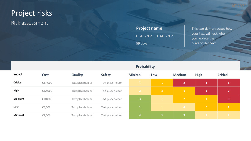 Project Status Report
