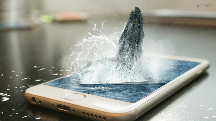 Mobile Marketing