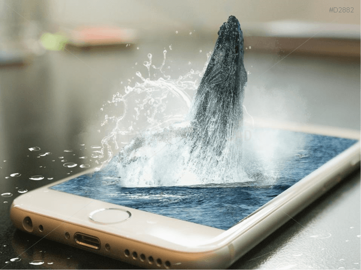 Mobile Marketing