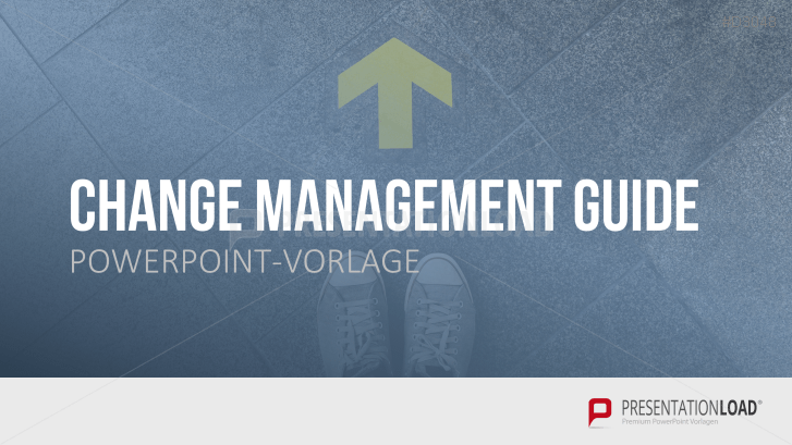 Change Management Guide
