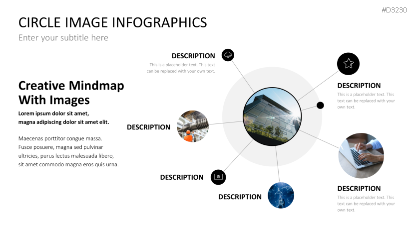 Circle Image Infographics