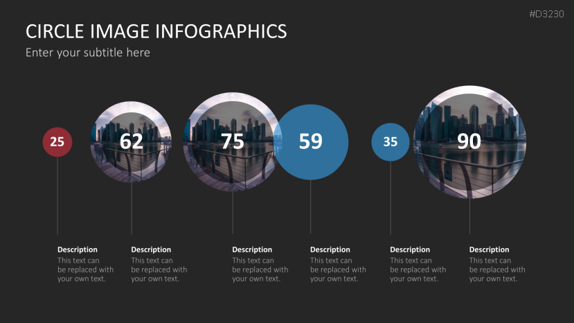 Circle Image Infographics