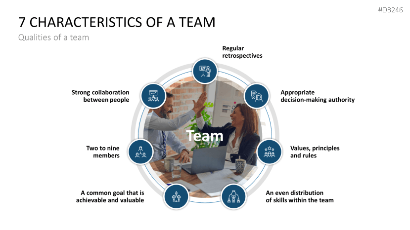 Team Structures
