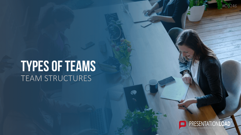 Team Structures