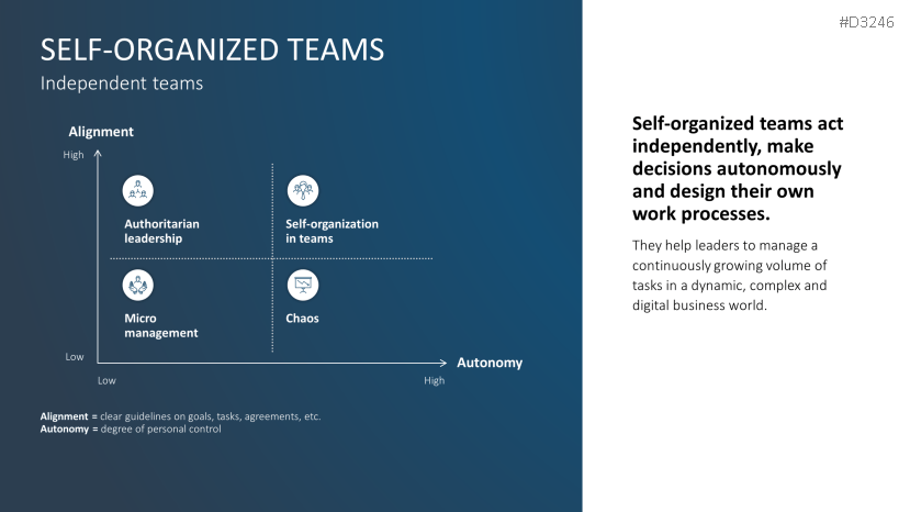 Team Structures