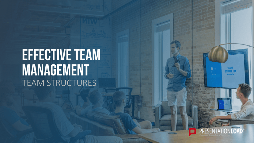 Team Structures