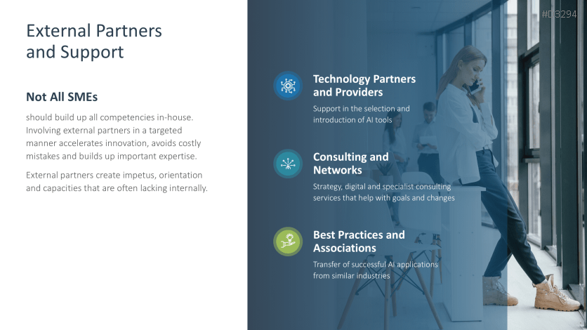 Introducing an AI Strategy in SMEs