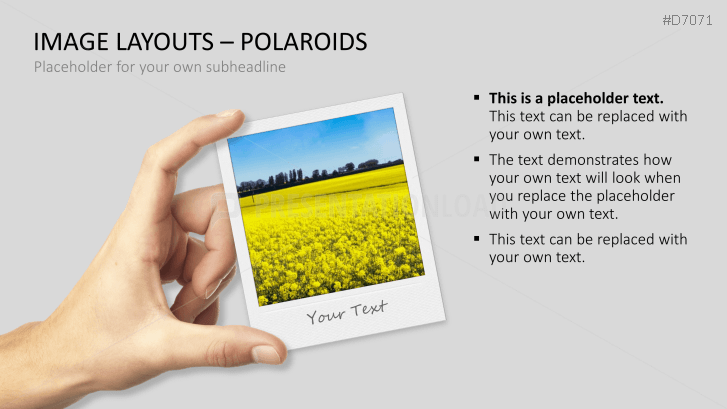 3D Image Layouts - Polaroids