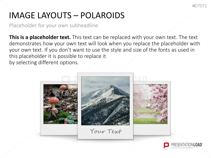 3D Image Layouts - Polaroids