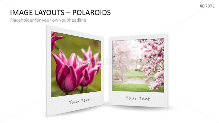 3D Image Layouts - Polaroids
