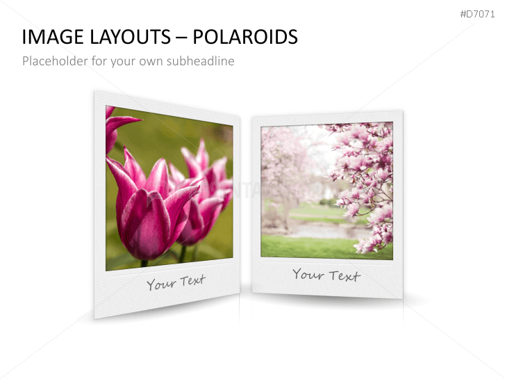 3D Image Layouts - Polaroids
