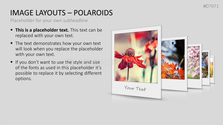3D Image Layouts - Polaroids
