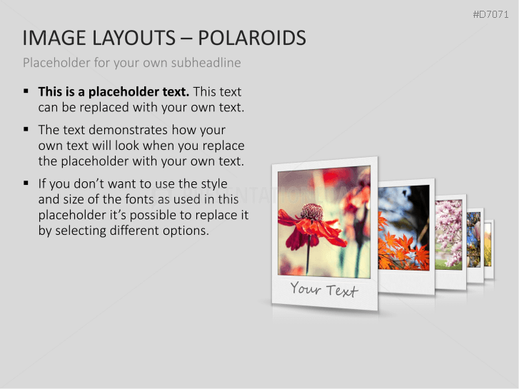 3D Image Layouts - Polaroids