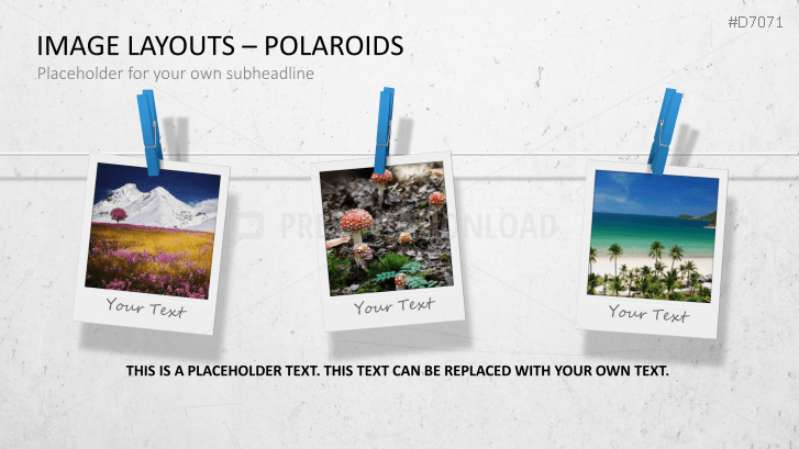3D Image Layouts - Polaroids