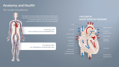 Free Anatomy PowerPoint Templates by PresentationLoad