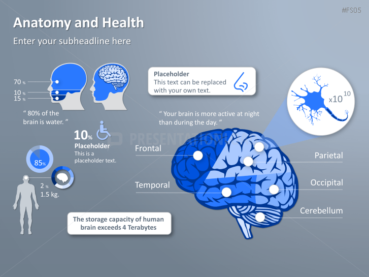 Free Anatomy PowerPoint Templates By PresentationLoad