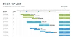 Project Timelines 2024