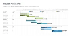 Project Timelines 2024