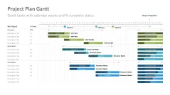Project Timelines 2024
