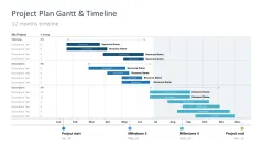 Project Timelines 2024