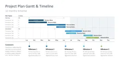 Project Timelines 2024