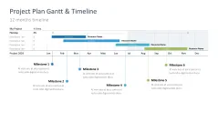 Project Timelines 2024
