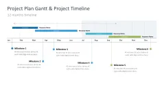 Project Timelines 2024